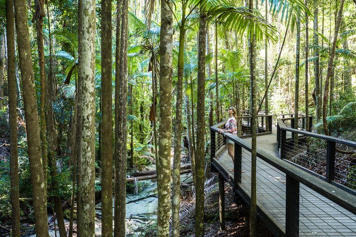 All-Inclusive Fraser Island Day Tour - Accommodation Australia 5