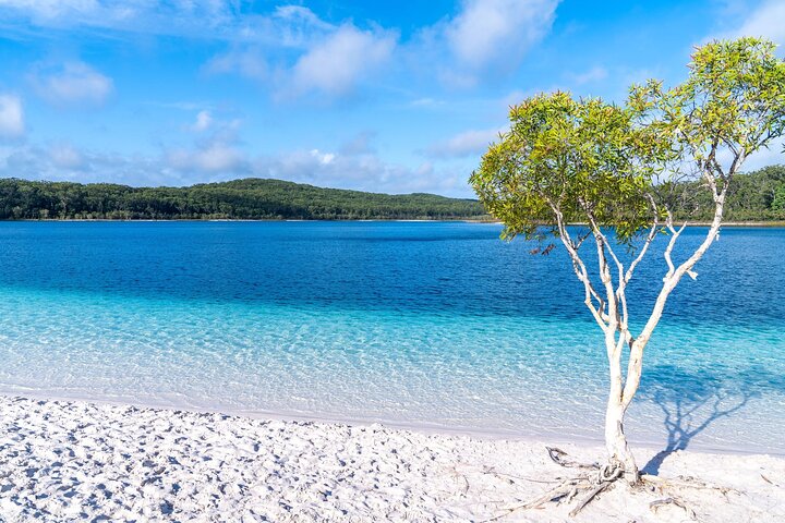 Lake McKenzie Full-Day Tour With Lunch From Hervey Bay - thumb 1