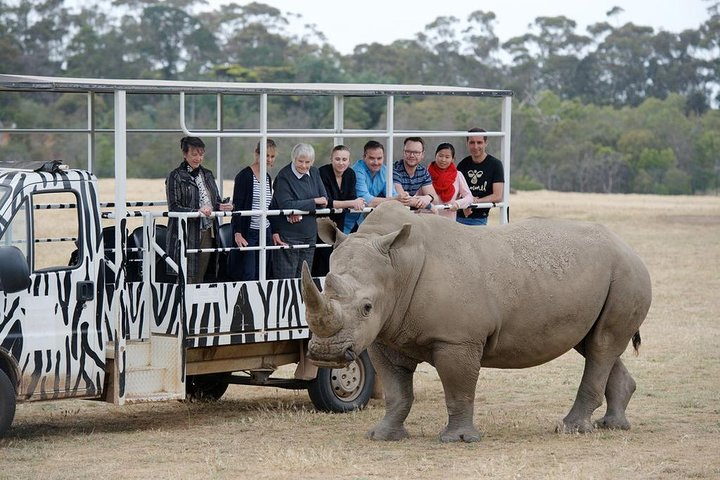 Off-Road Safari at Werribee Open Range Zoo - Accommodation in Bendigo