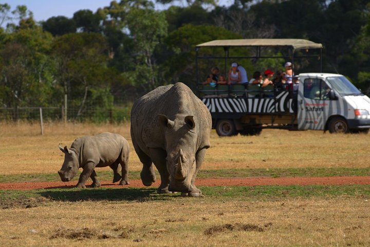 Off-Road Safari At Werribee Open Range Zoo - thumb 5