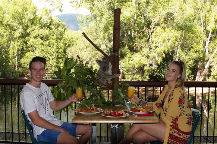 Hartley's Crocodile Adventures Breakfast With The Koalas - Accommodation BNB 5