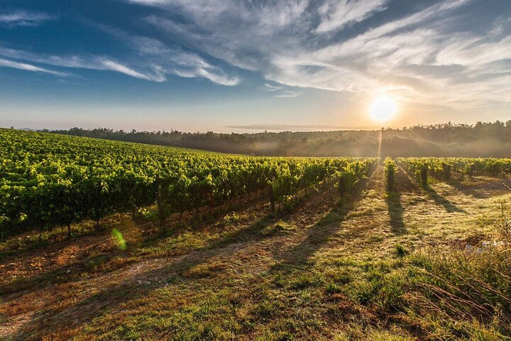 Perth to Margaret River Wine Tour - 2 Day Premium Boutique Wine Tour Experience - Geraldton Accommodation
