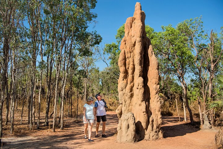 Litchfield National Park - Top End Day Tour From Darwin - thumb 4