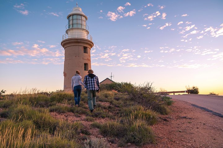 6-Day Coral Coaster from Perth to Exmouth One-Way via Monkey Mia Ningaloo Reef - Southport Accommodation
