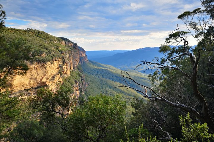 Sunset Blue Mountains Wilderness & Wildlife Tour Without The Crowds - thumb 2