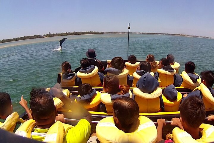 Gold Coast 55 Minute Adventure Jet Boat Ride - Accommodation Redcliffe