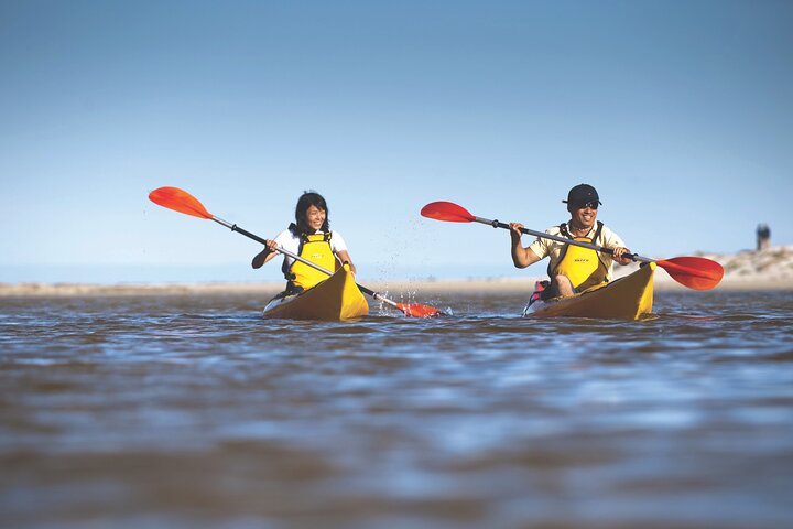 Kangaroo Island Self-Guided Kayaking On The Harriet River - thumb 2