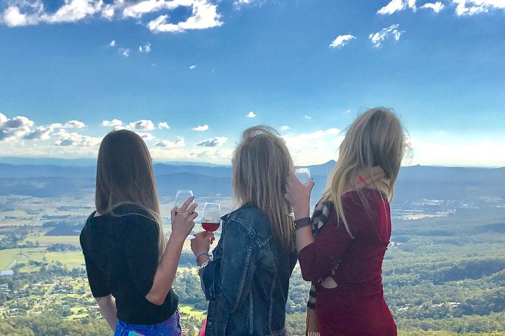 Mount Tamborine Wine Tasting Tour From Brisbane Or The Gold Coast - Getaway Accommodation 1