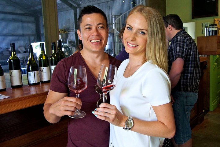 Mount Tamborine Wine Tasting Tour From Brisbane Or The Gold Coast - Getaway Accommodation 4