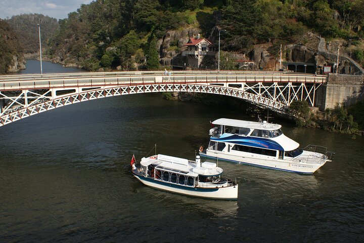2.5 Hour Morning Discovery Cruise Including Sailing Into The Cataract Gorge - thumb 5