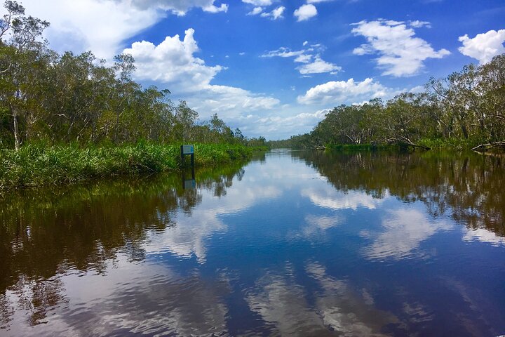 Noosa Everglades Serenity Cruise  Highlights Tour Inc. Lunch  Cruise - Accommodation Main Beach