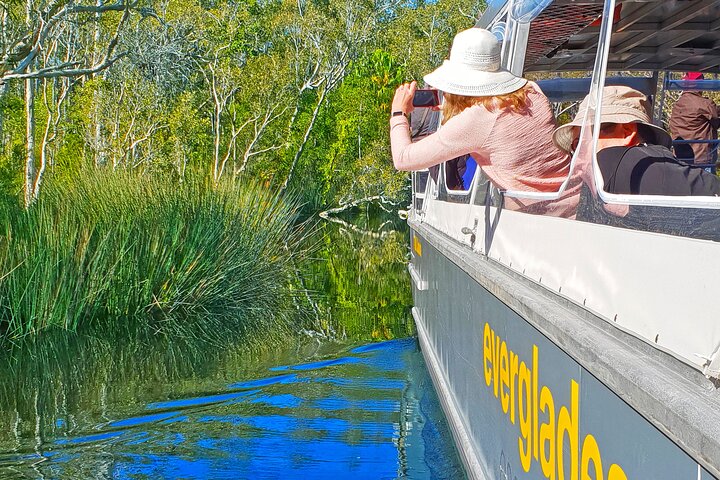 Noosa Everglades Serenity Cruise & Highlights Tour Inc. Lunch & Cruise - thumb 2