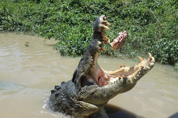 Litchfield And Jumping Crocodiles Full Day Trip From Darwin - thumb 3