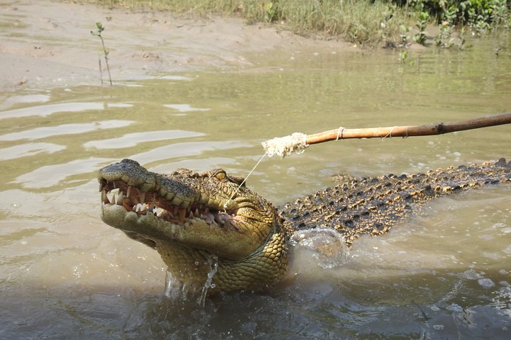Litchfield And Jumping Crocodiles Full Day Trip From Darwin - thumb 4