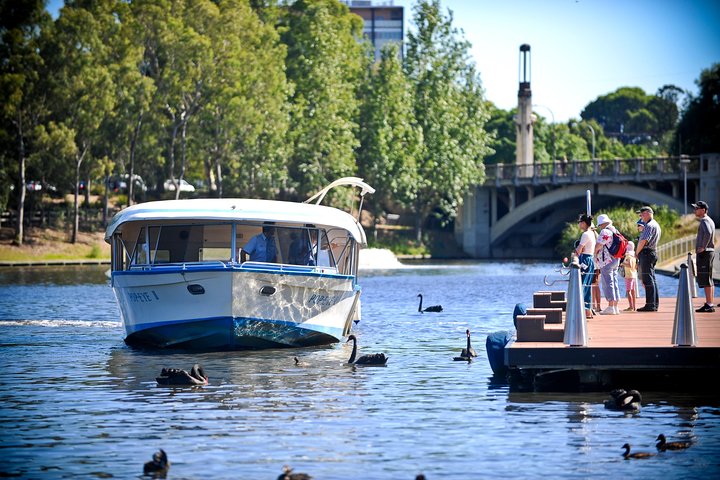 Torrens River Cruise In Adelaide - Mount Gambier Accommodation 5