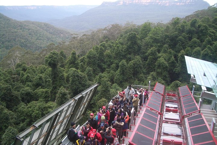 Blue Mountains Private Tour With Wildlife Park And River Cruise - thumb 1
