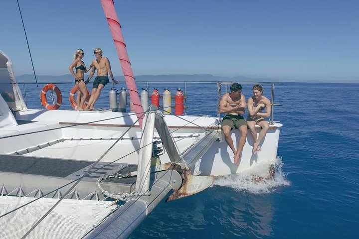 Full-Day Great Barrier Reef Sailing Trip - Redcliffe Tourism 1