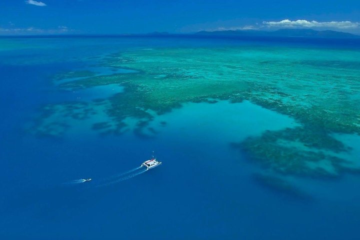 Full-Day Great Barrier Reef Sailing Trip - Redcliffe Tourism 3