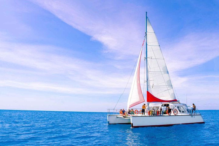 Full-Day Great Barrier Reef Sailing Trip - Redcliffe Tourism 4
