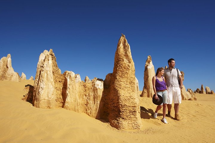 Pinnacles Day Trip from Perth Including Yanchep National Park - Geraldton Accommodation