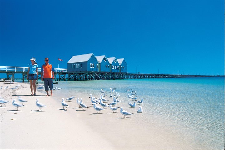 Margaret River and Geographe Bay Region Day Trip from Perth - Southport Accommodation