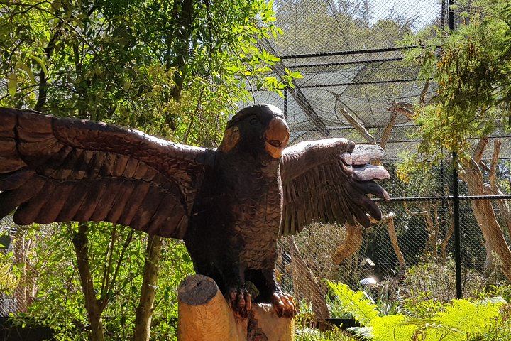 Healesville Sanctuary And Rayners Orchard Tour From Melbourne - thumb 2