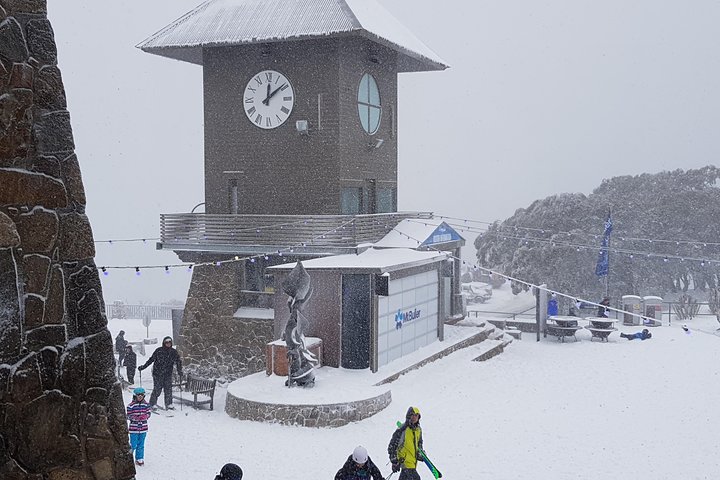 Mt Buller Day Trip From Melbourne - VIC Tourism 0