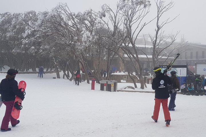 Mt Buller Day Trip From Melbourne - VIC Tourism 1