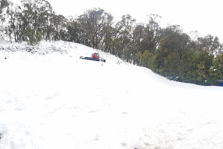 Mt Buller Day Trip From Melbourne - VIC Tourism 2