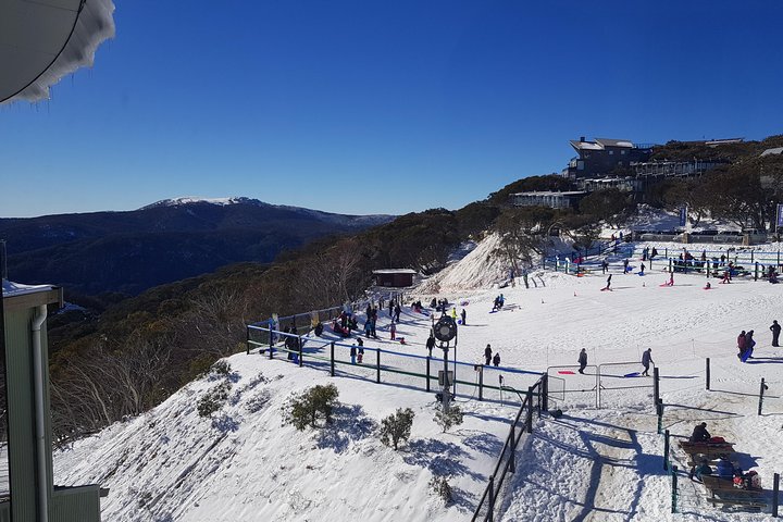 Mt Buller Day Trip From Melbourne - VIC Tourism 4