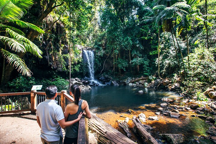 Aquaduck  Your choice of Gold Coast Rainforest Tour - Accommodation Cooktown