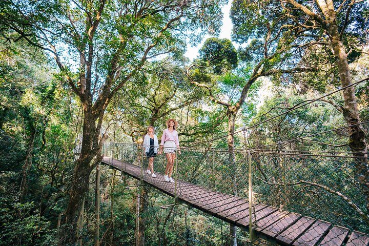Aquaduck & Your Choice Of Gold Coast Rainforest Tour - Tourism Gold Coast 4