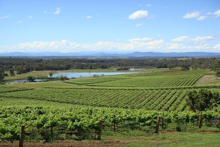 Private Hunter Valley Wine-Tasting Day Tour From Sydney - thumb 1