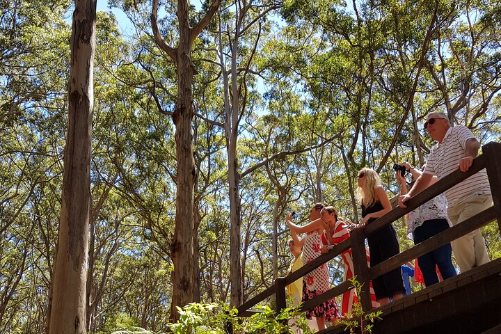 The All About Margaret River Tour: Wine, Coffee, Lunch And Forest - Tourism Bookings WA 3
