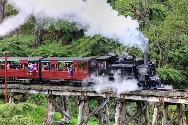 Puffing Billy And Healesville Sanctuary Scenic Tour - thumb 2