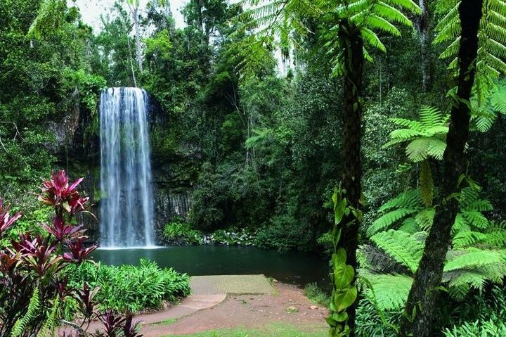Paronella Park And Millaa Millaa Falls Full-day Tour From Cairns - Accommodation Cooktown 3