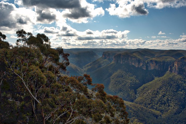 Unforgettable Blue Mountains Day Tour - Grafton Accommodation 4