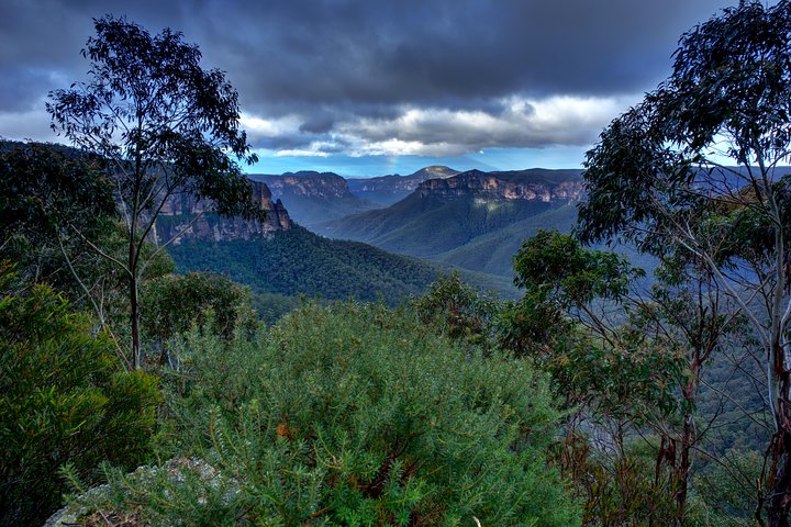 Ultimate Blue Mountains And Wildlife Tour - thumb 1