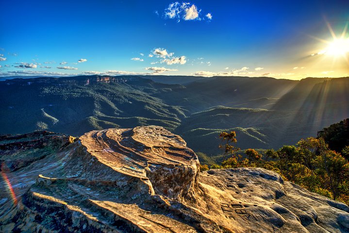 Ultimate Blue Mountains And Wildlife Tour - thumb 4