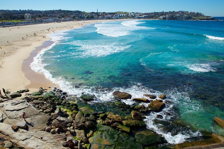 Private Sydney Foreshores And Beaches SUV Tour - Accommodation Newcastle 0