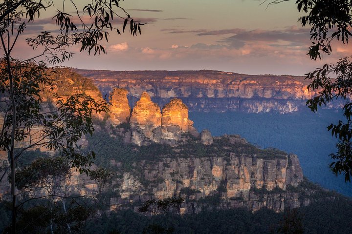 Private Blue Mountains Tour With Kangaroo And Koala Experience - Foster Accommodation 1