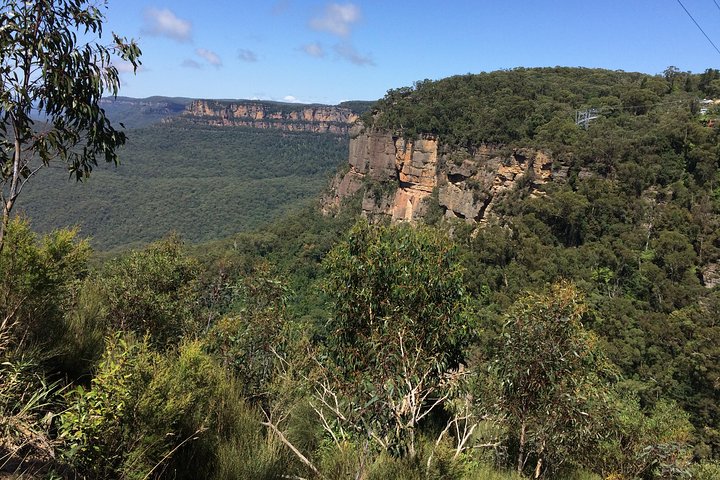 Full-Day Private Blue Mountains Tour With River Cruise - thumb 1