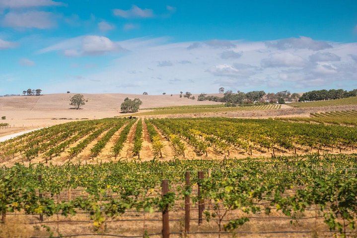 Barossa Valley Private Tour (from 2 To 11 People) - Port Augusta Accommodation 2