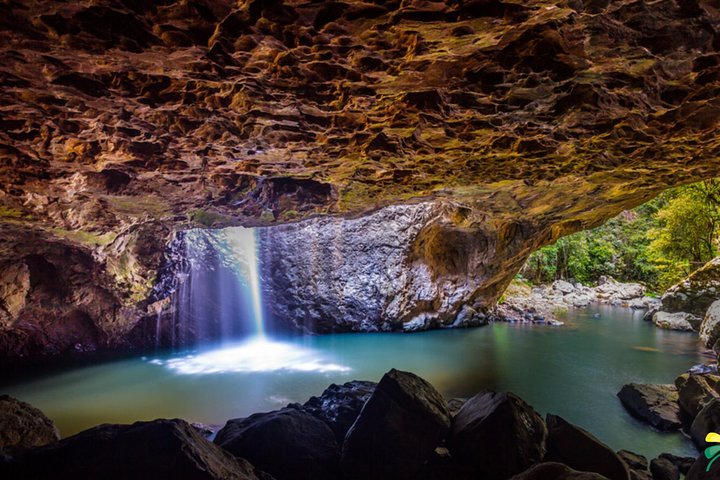 Full-day Springbrook National Park Tour From The Gold Coast - Accommodation Australia 3