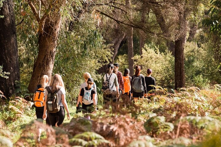 Half-Day Yanchep Ghost House Wilderness Guided Hike Tour - WA Accommodation
