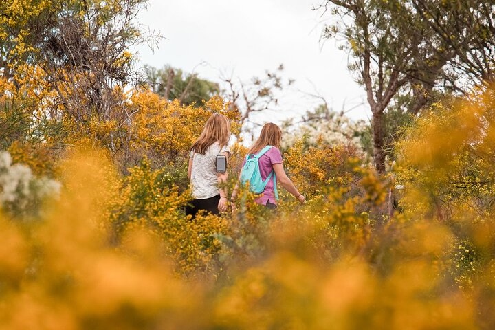 Half-Day Yanchep Ghost House Wilderness Guided Hike Tour - Kalgoorlie Accommodation 4