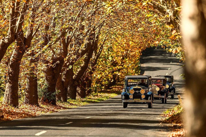 Blue Mountains Vintage Cadillac Tour With Local Guide - Accommodation Bookings 1
