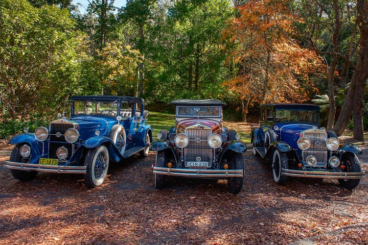 Blue Mountains Vintage Cadillac Tour With Local Guide - Accommodation Bookings 4