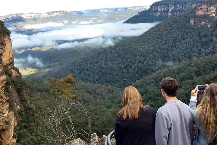 Blue Mountains Private Tour - Wild Kangaroos, Waterfalls And The Three Sisters - thumb 3