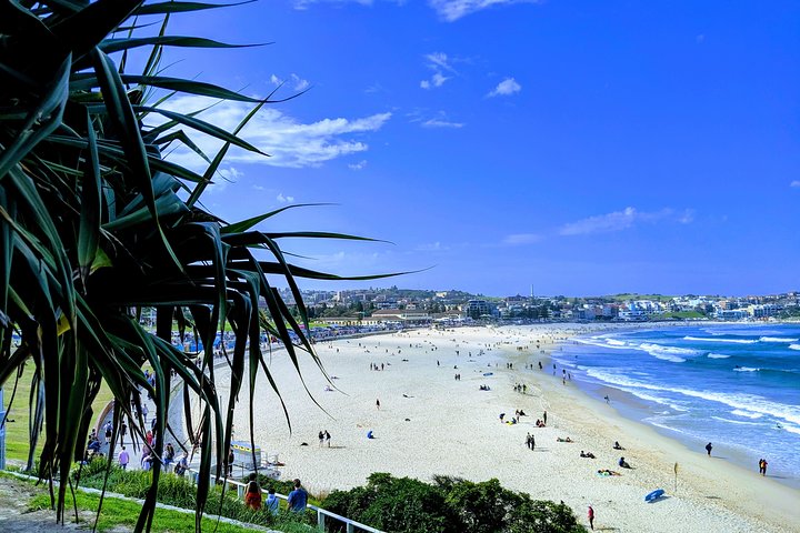 Sydney Secrets & Bondi Private 4 Hour Afternoon With 'Personalised Sydney Tours' - Wagga Wagga Accommodation 0